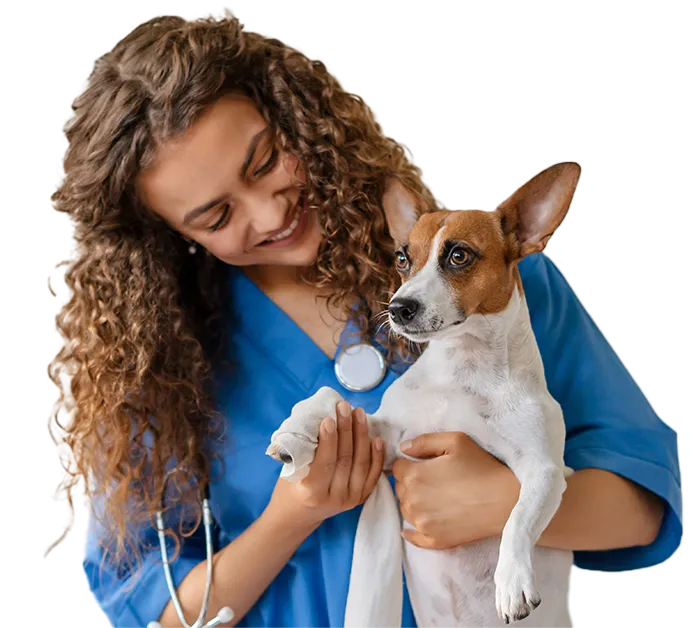 Veterinária e cachorro CVA